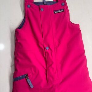 Patagonia Pink and Purple Snow Bib 3t